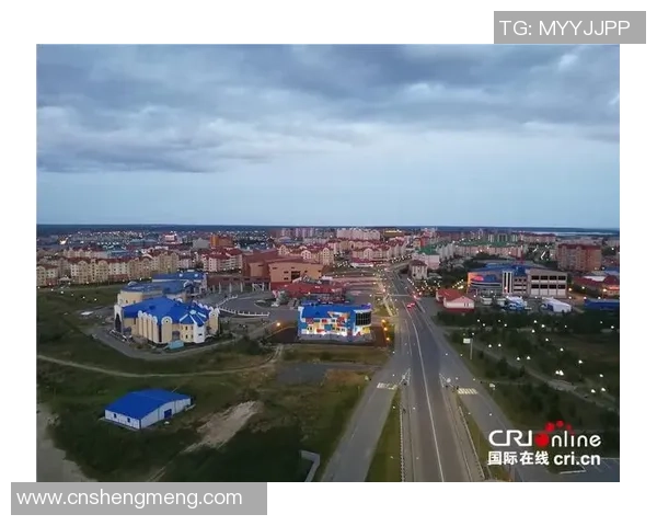 亚马尔地区能源开发与国际合作的新机遇与挑战分析