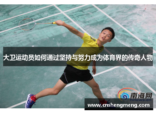 大卫运动员如何通过坚持与努力成为体育界的传奇人物