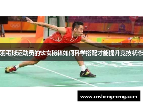 羽毛球运动员的饮食秘籍如何科学搭配才能提升竞技状态