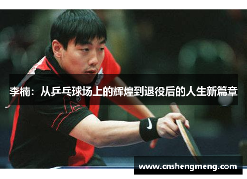 李楠：从乒乓球场上的辉煌到退役后的人生新篇章