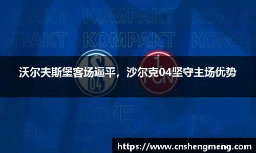 沃尔夫斯堡客场逼平，沙尔克04坚守主场优势