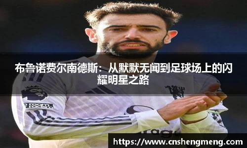 TVT体育官方网站